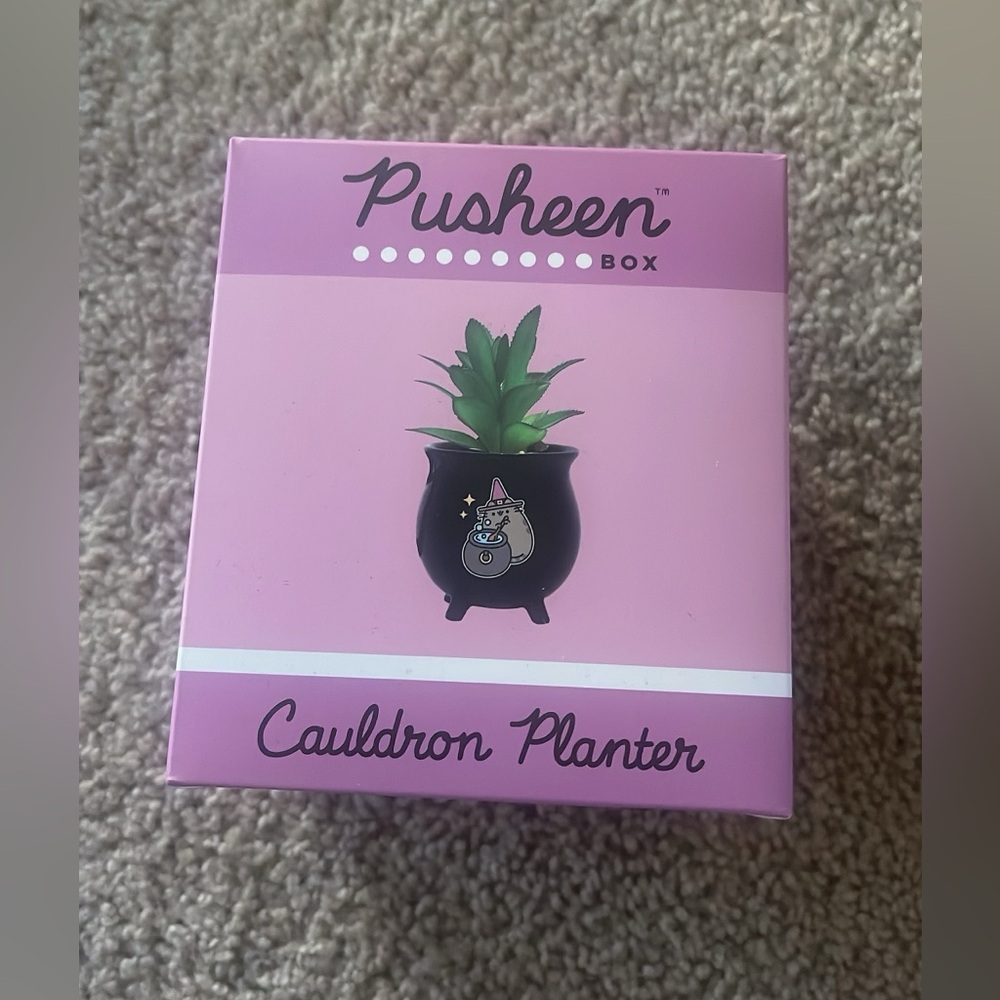 🆕Pusheen Box Exclusive 2024 Fall Cauldron Planter